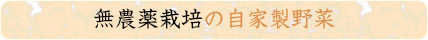 無農薬栽培の自家製野菜