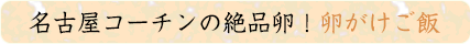 名古屋コーチンの卵絶品！卵がけご飯